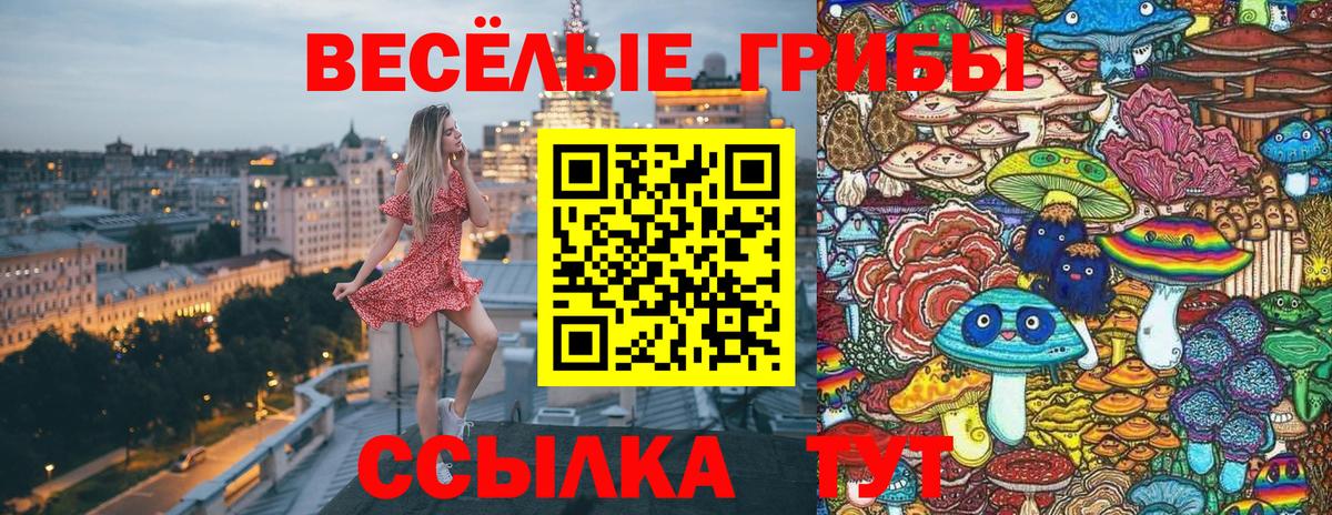 Реутов  Псилоцибиновые грибы ЛСД  Вход с VPN 