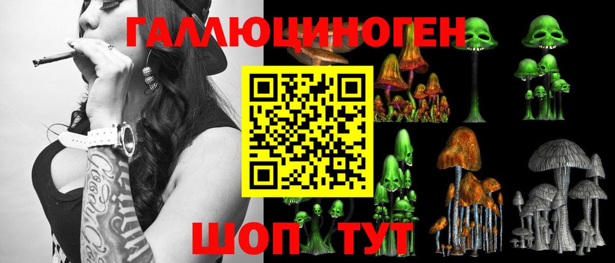 Галлюциногенные грибы Psilocybine cubensis Реутов